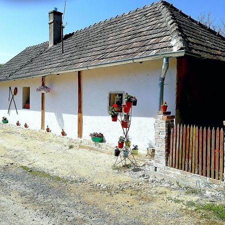 Traditionelles Bauernhaus Flieder Zalaszentgrót エクステリア 写真