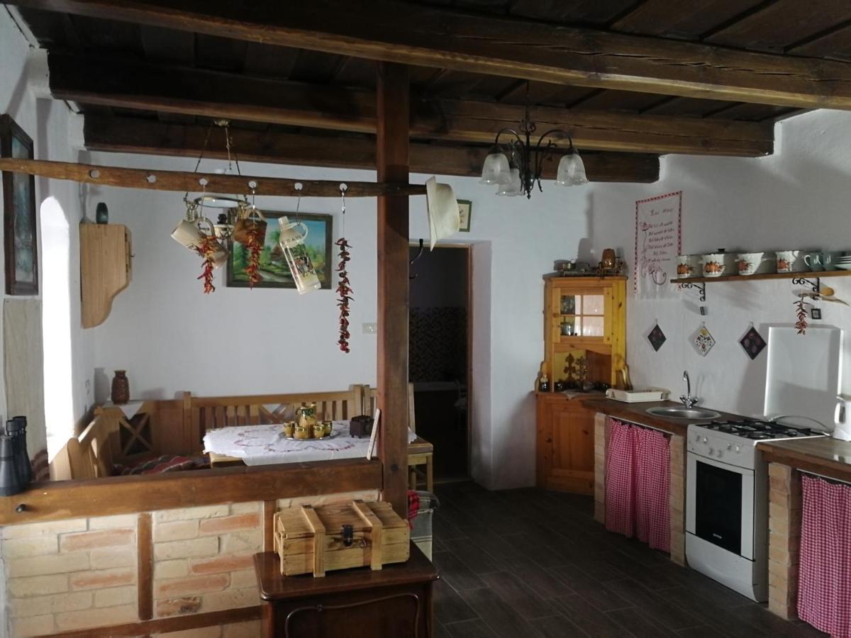 Traditionelles Bauernhaus Flieder Zalaszentgrót エクステリア 写真